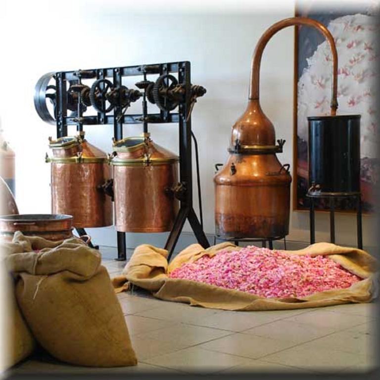 Aparthotel Le Virginia By Popinns 3*